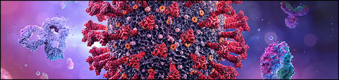 Ludger Glycan Analysis - Sample type: COVID-19 patient samples