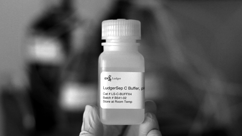 LudgerSep C buffer