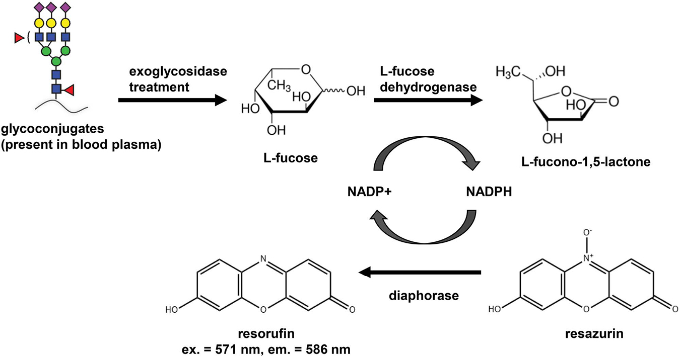 Ludger - Publication Glycobiology Journal - Fig 1