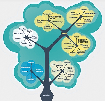 Ludger - Carbomet - A roadmap for Glycoscience in Europe