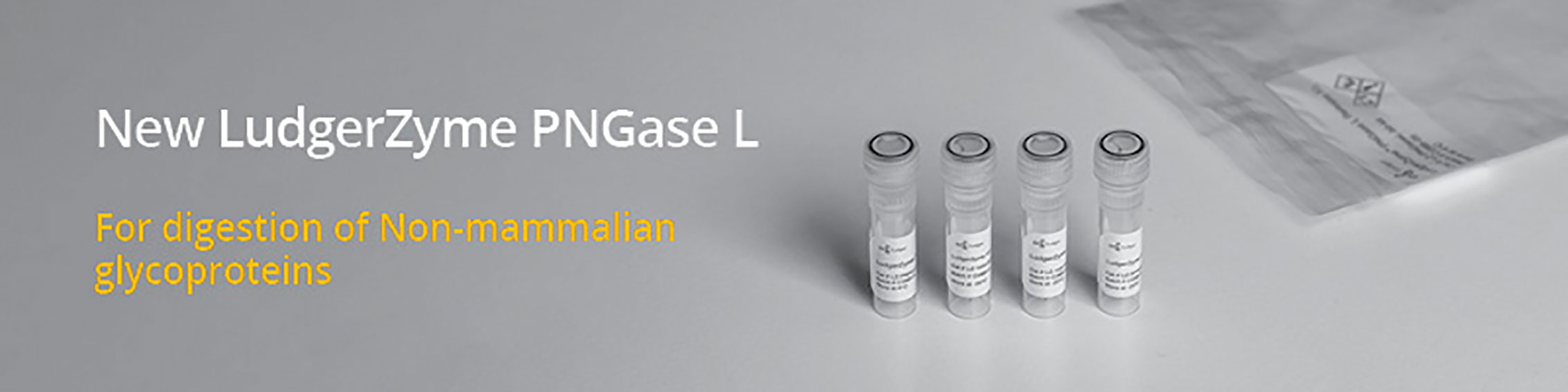 pngase-l-banner