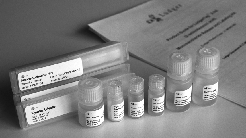 Ludger Monosaccharide Analysis