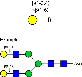 Ludger Beta-(1-3,4,6)-galactosidase enzyme structure