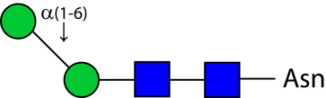 Ludger Alpha-(1,6) core mannosidase enzyme structure