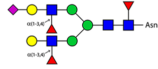 Ludger alpha1-3,4 Fucosidase Example Structure