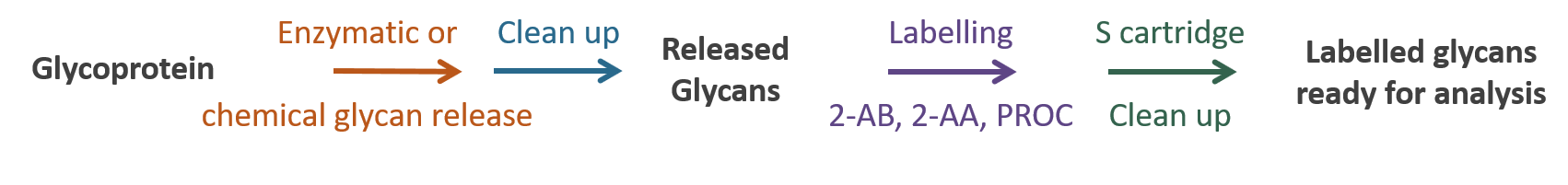 Ludger - Glycan Purification Workflow