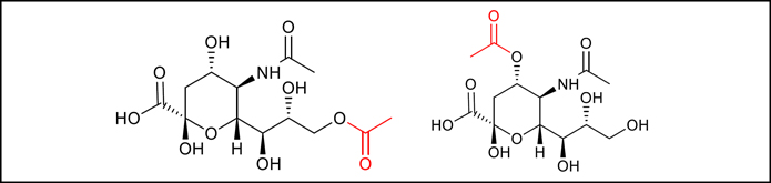 Ludger Publication - ChemBioChem