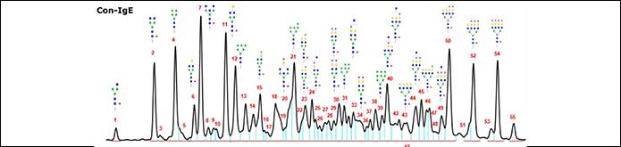 Ludger Publication - IgE Characterisation