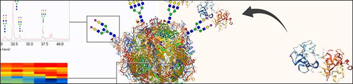 Ludger Publication - Nanoparticle Corona